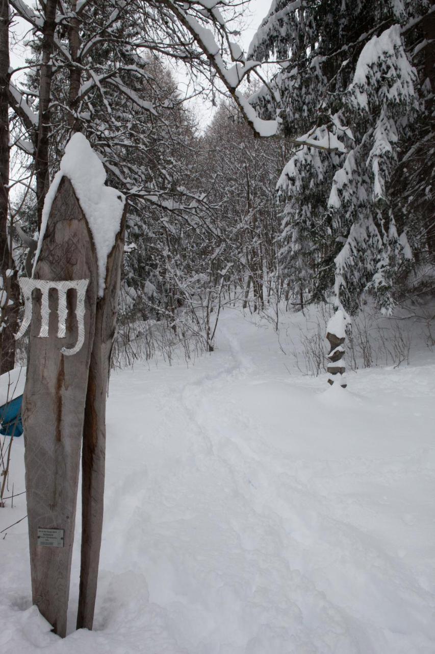 Hotel Etoile Des Neiges Oulx Exterior foto
